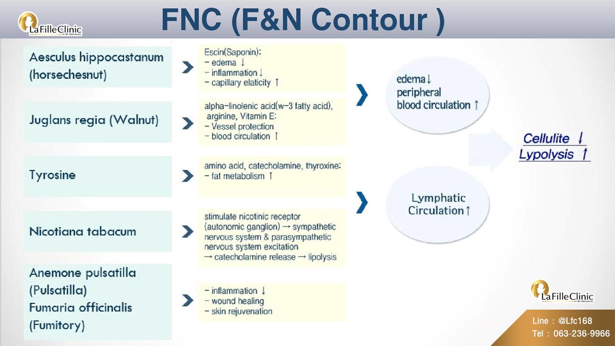 Info-fnc30-1